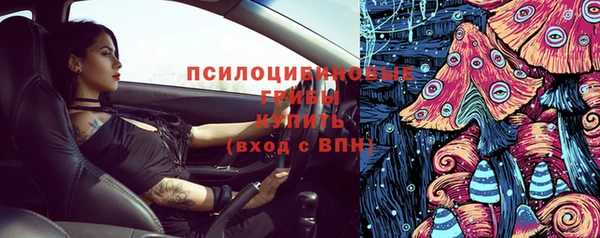 кокс Михайлов